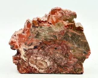 Petrified Wood