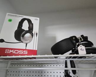 Earphones