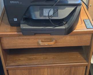 HP Printer & TV/Printer Cabinet