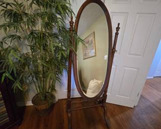 Full Length Mirror & Silk Tree