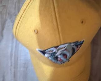 Predators hat
