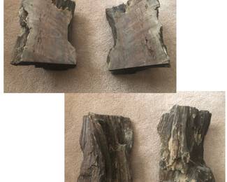 SOLD *Great Petrified Wood Bookends, Raw Black Coral Branches and Several Rock Collections.