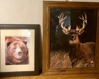   *Wildlife Art