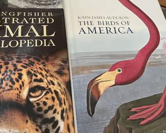 Audubon book