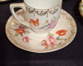 Stern Bros. Rose Garden Pattern Teacup and Saucer Set