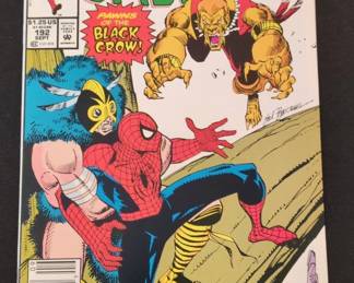 The Spectacular SpiderMan 