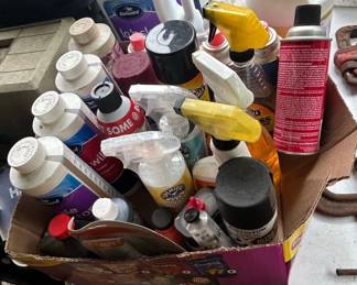 Assorted Household Cleaning, Automotive Products, and Pool Chemicals Lot