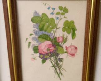 Framed Botanical Print by JeanLouis Prvost