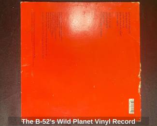 The Bs Wild Planet Vinyl Record second image