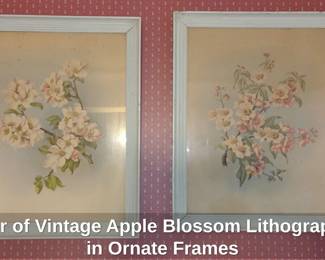 Pair of Vintage Apple Blossom Lithographs in Ornate Frames