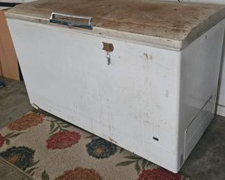 Working old heavy chest freezer