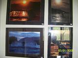 Whale pictures
