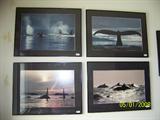 Whale pictures
