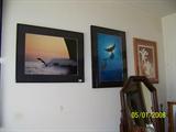 Whale pictures