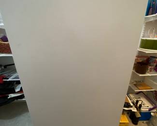 Frost Free Freezer