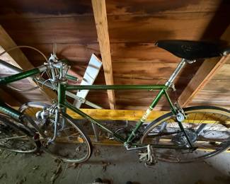Matching Schwinn vintage bikes…men’s/women’s