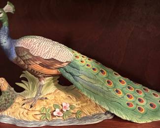 Andrea- peacock