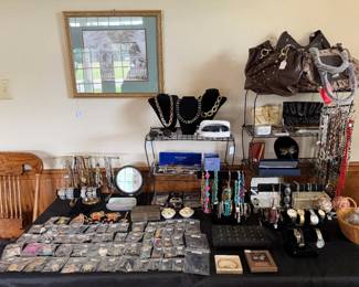 Costume jewelry and purse selections