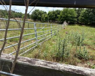 Info coming on the fence sections.