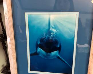 Orca Whale Print