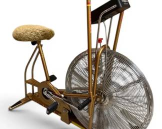 Vintage Schwinn AirDyne Bike