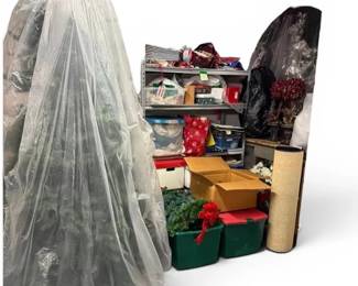 Christmas Mystery Lot