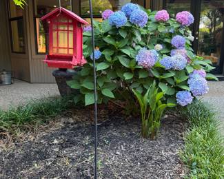 Bird house 