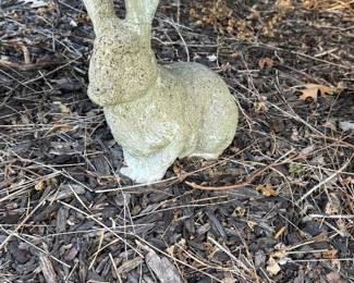 Concrete bunny 