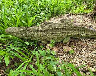 Garden decor: Cement alligator
