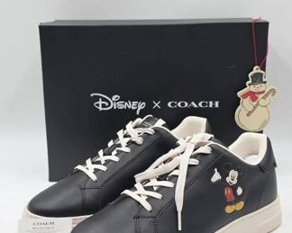 disney coach
