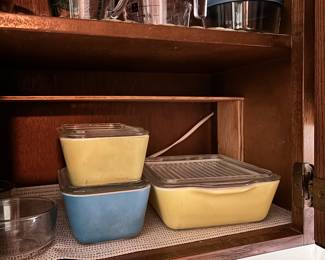 Refrigerator dishes