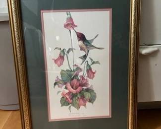 163 framedhummingbirdprintbycarolynshor