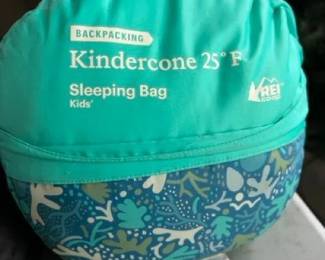 167 reikinderconesleepingbagandkinderca