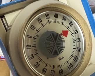 Taylor Thermometer