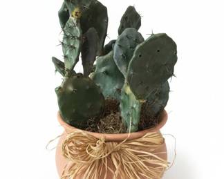 Artificial Prickly Pear Cactus in Terracotta Pot