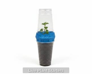 Live Plant Starters second image
