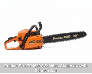 Poulan Pro PPAVX cc Chainsaw with inch Bar