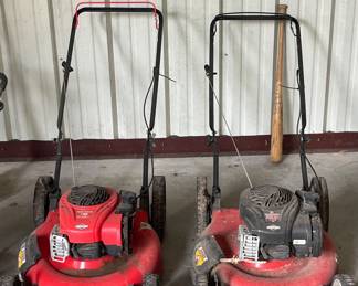 LAWN MOWERS