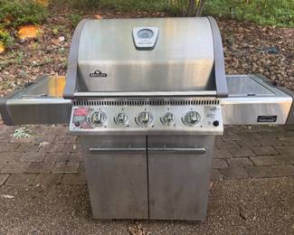 Napoleon Grill