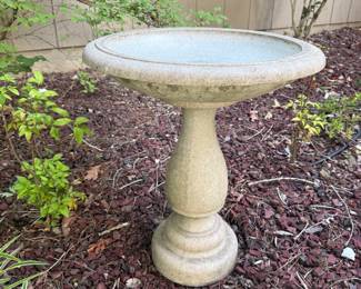 Bird Bath