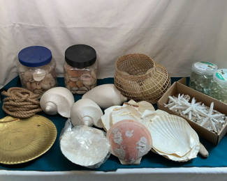 Lot 198: Get Jiggy With Shells