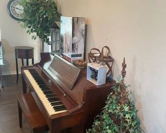 Artificial Plants, Decor (Piano Not For Sale)