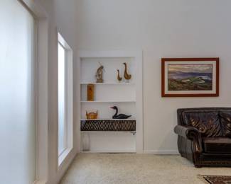 Bookshelf door