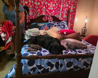 Queen size 4 poster bed