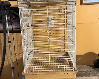Bird Cage