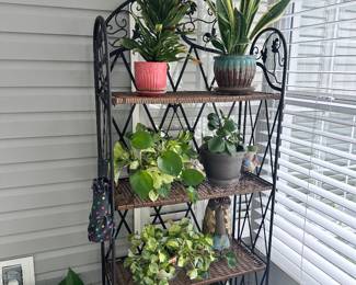 Bakers rack and live plants 