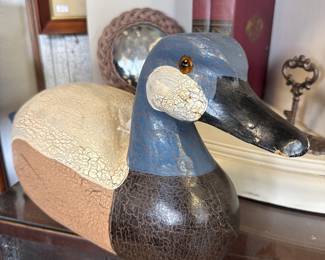 duck