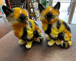 Calico cats 