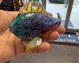 Glass fish 