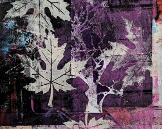 12 x 15 framed and signed by the artist. Comes with the book The Liminal print where this monoprint is featured. The book is signed by the author and the artist, Alisa E. Clark. Original monoprint.